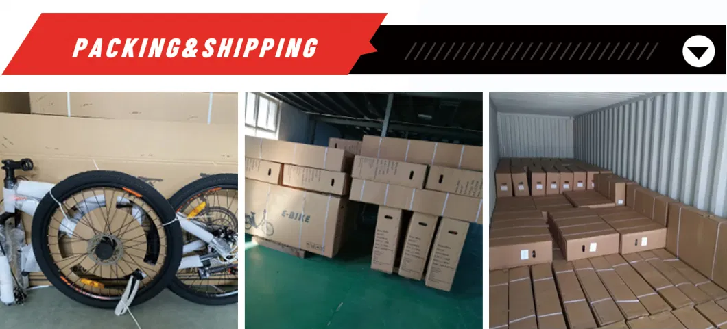 Wholesale Electric Bike 400W Electric Scooter Electric Moped with Lead-Acid Battery