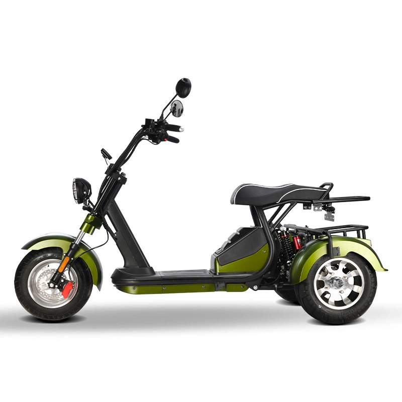 Electric Tricycle Electric Cargo 2000W Electric Bike Adult Electric Tricycles Electric 3 Wheel Electric Scooter