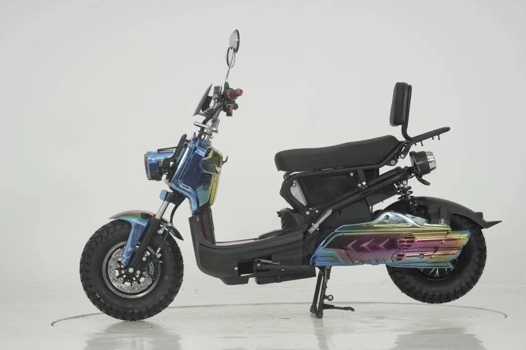 Cool Electric Bicycle Electric Scooter 1000W Motor High-Speed Electric Motorcycle