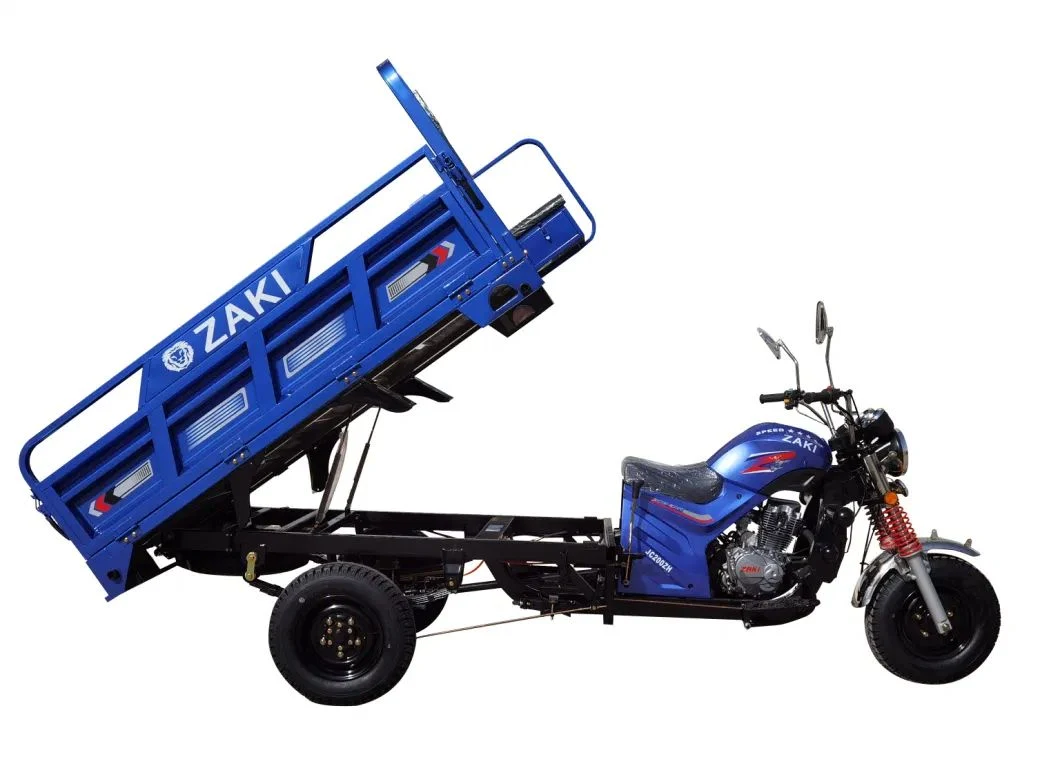 Type Open Body 3 Wheels Petrol Cargo Motor Tricycle Motorcycles Motorized Tricycles