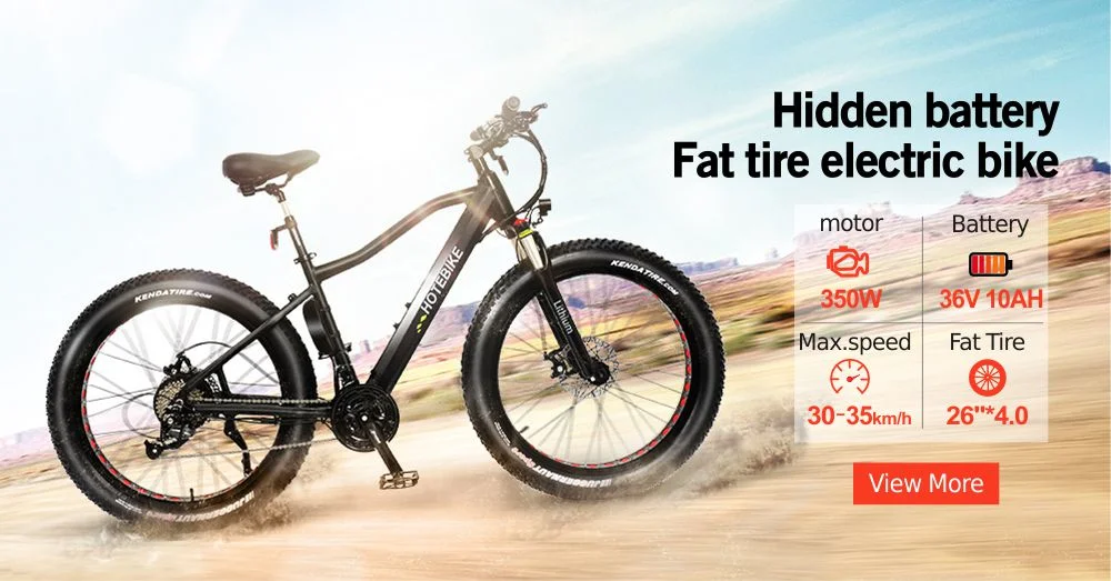 36V/48V 250W/350W/500W/750W High Power Mountain Electric Bike