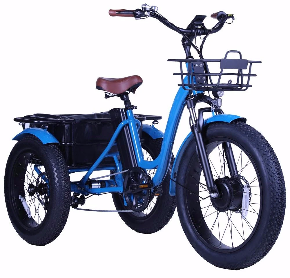 Cargo Electric Bike 500W Hub Motor 48V 13ah Fatbike 4.0inch Electric Tricycle Bike