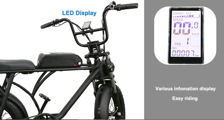 Europe Electric Fat Bike 750W Aluminum Frame for 20 Inch Electric Fat Bike for All Ages