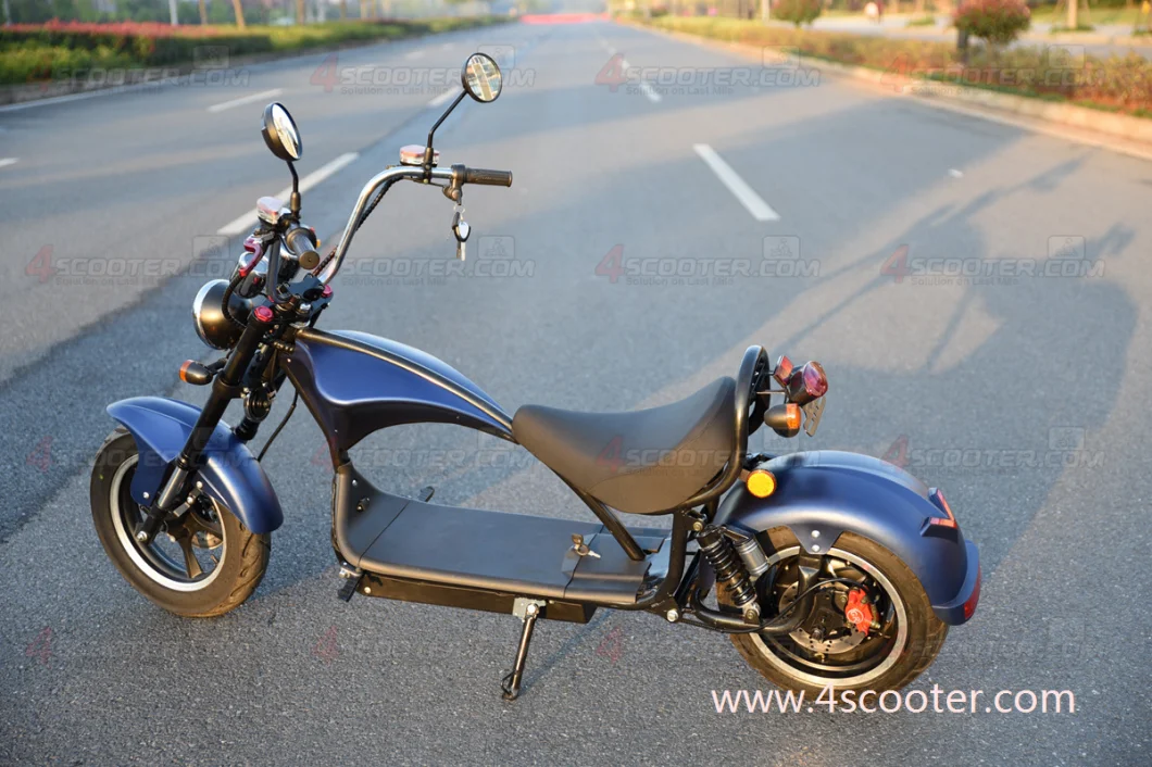 Hot Style Long Range 2000W Adult Street Electrical Scooter with Seat