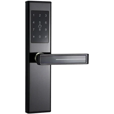 Door Handle Fingerprint Lock Biometric Fingerprint Digital Cylinder WiFi Smart Double Phone APP Access Door Lock