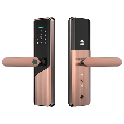Tuya WiFi Smart Lock Ttlock Bluetooth Smart Door Lock Passcode Keyless Door Lock for Airbnb Rental Apartment and Condominium