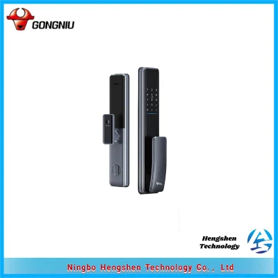  Security Digit Electric Electronic Handle Digital Tuya Ttlock Cerraduras Inteligentes Con WiFi Keys Fingerp