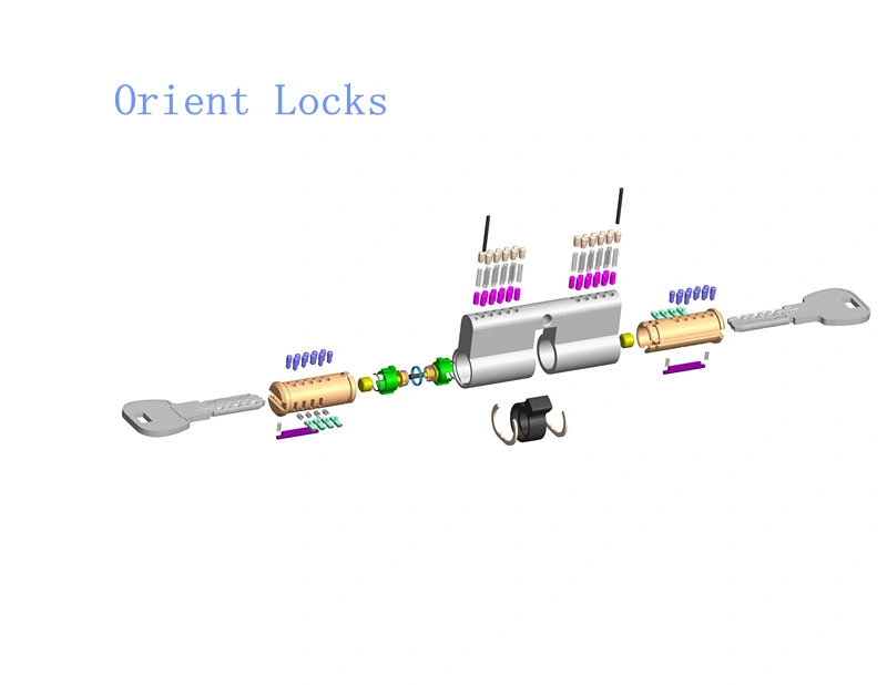 Snake Key Cylinder Lock Double Pins with Emergency Function