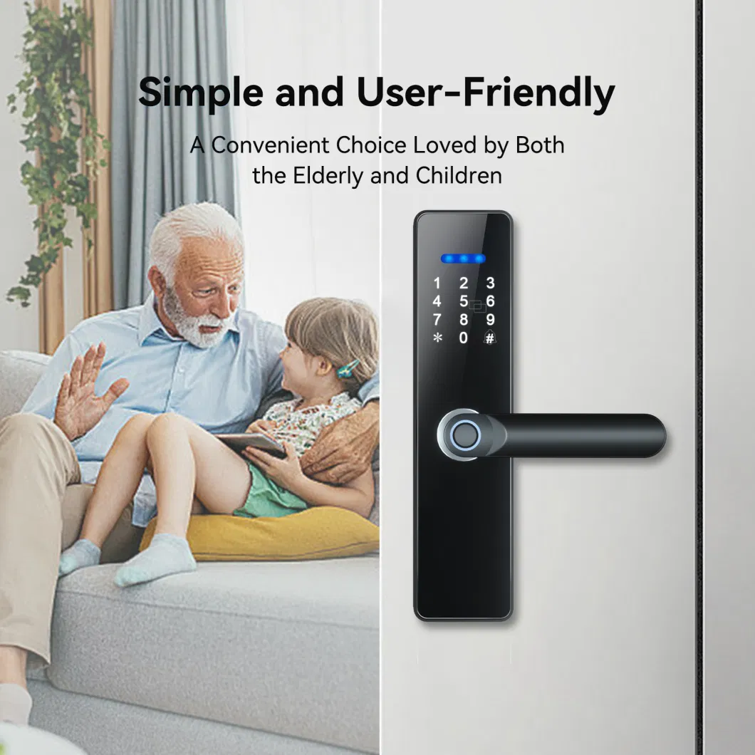Security Products WiFi APP Battery-Powered Backup Emergency Key Smart Password Lock
