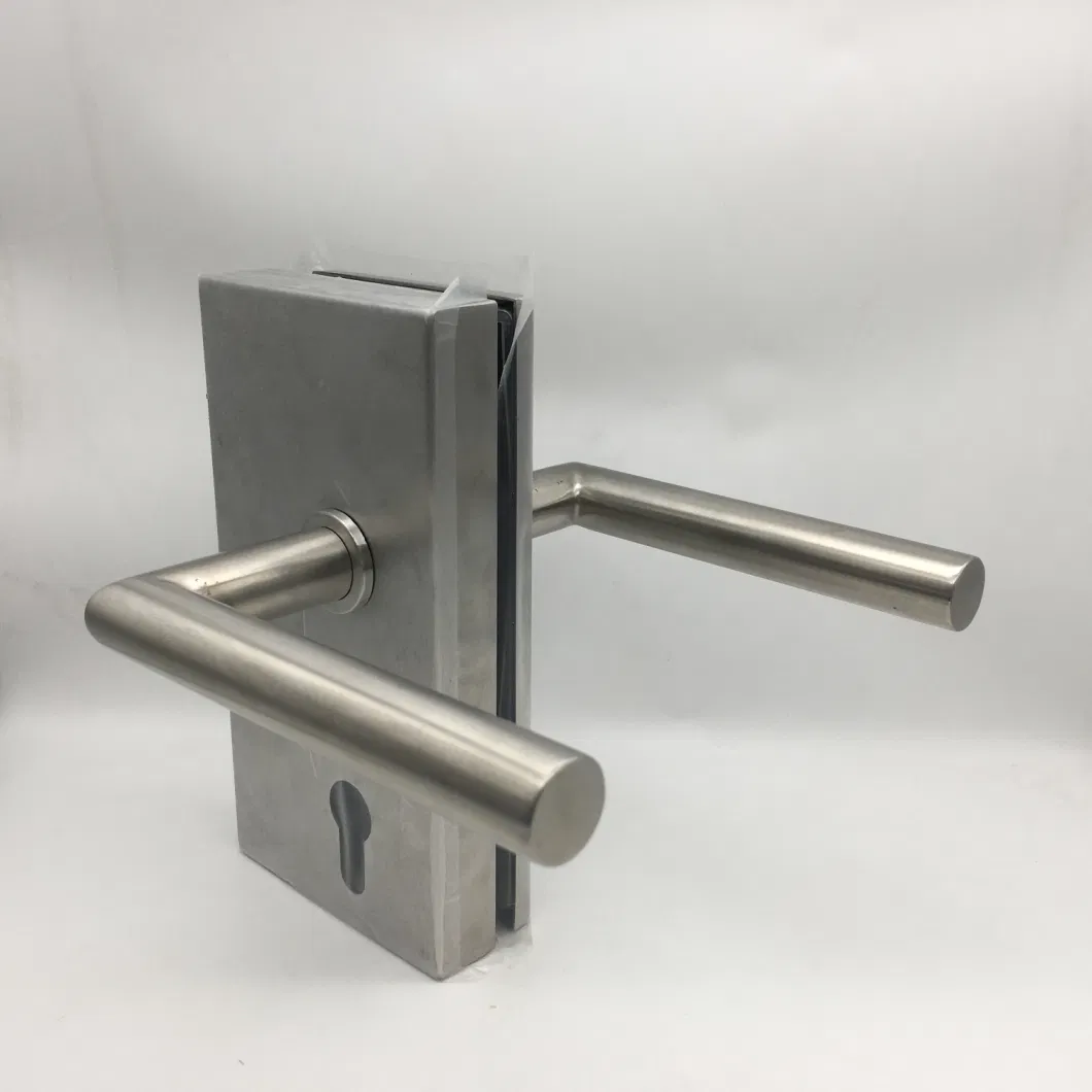 Satin Stainless Steel SS304 Commercial Office Glass Door Lever Handle with Cylinder Lock