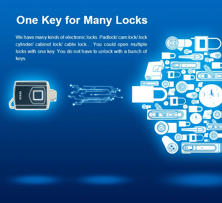 High Security Electronic Passive Door Lock Cam Locks