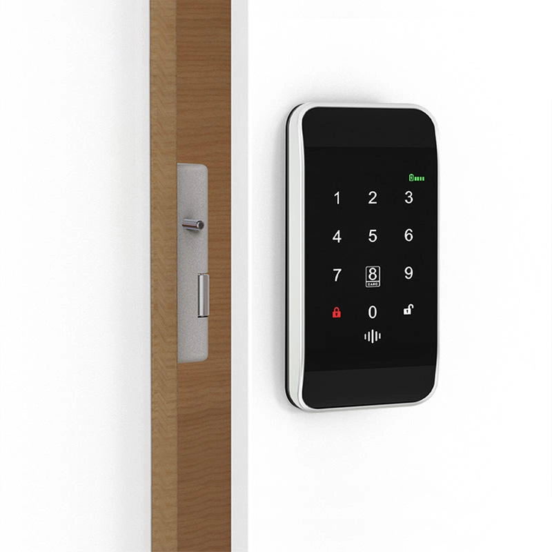 Aluminum Alloy Smart M1 Card Cabinet Locks with Password Unlock