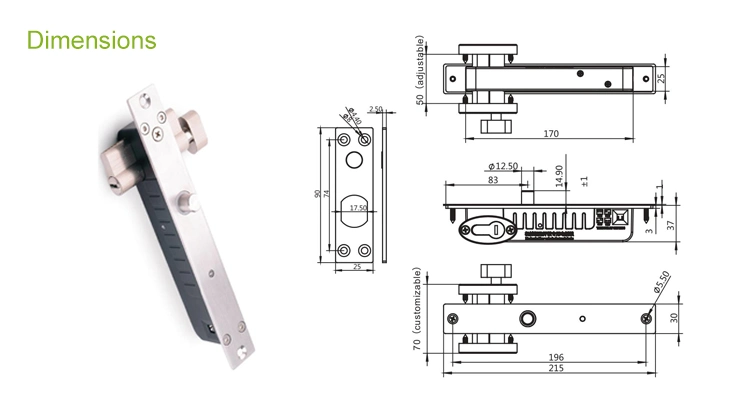 12V Fail Safe and Fail Secure Adjustable Electric Drop Bolt Door Lock with Timer with Keys Cylinder