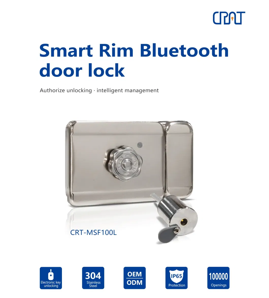 Nb IoT Management Solution Intelligent Rim Deadbolt Rim Motor Lock Remote Control Combination Electronic System Anti-Theft Smart Lock Best