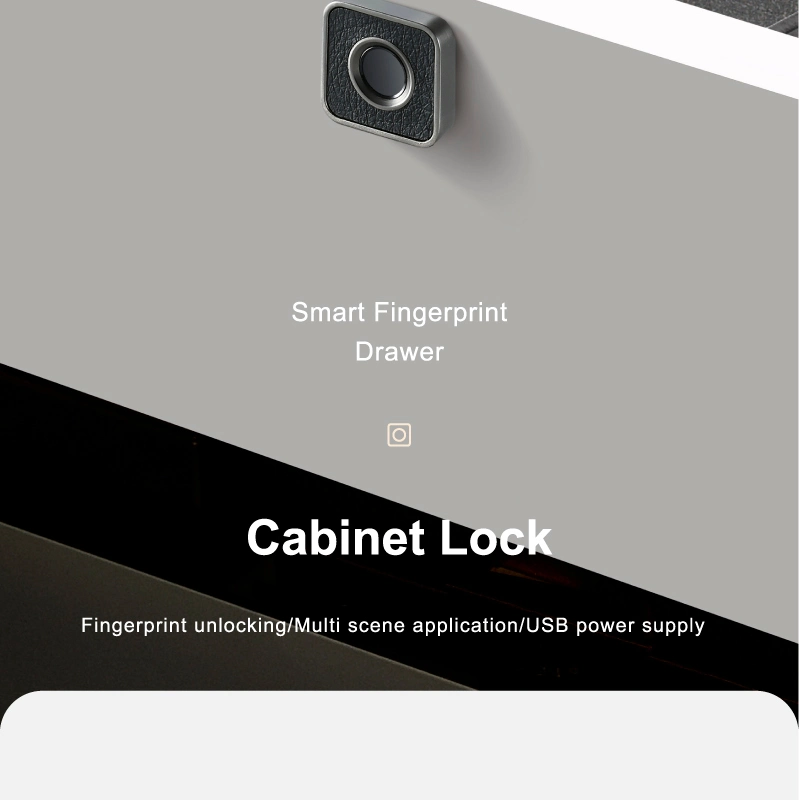 Power Saving Keyless Hidden Mini Drawer Smart Electric Lock Fingerprint Lock for Cabinet