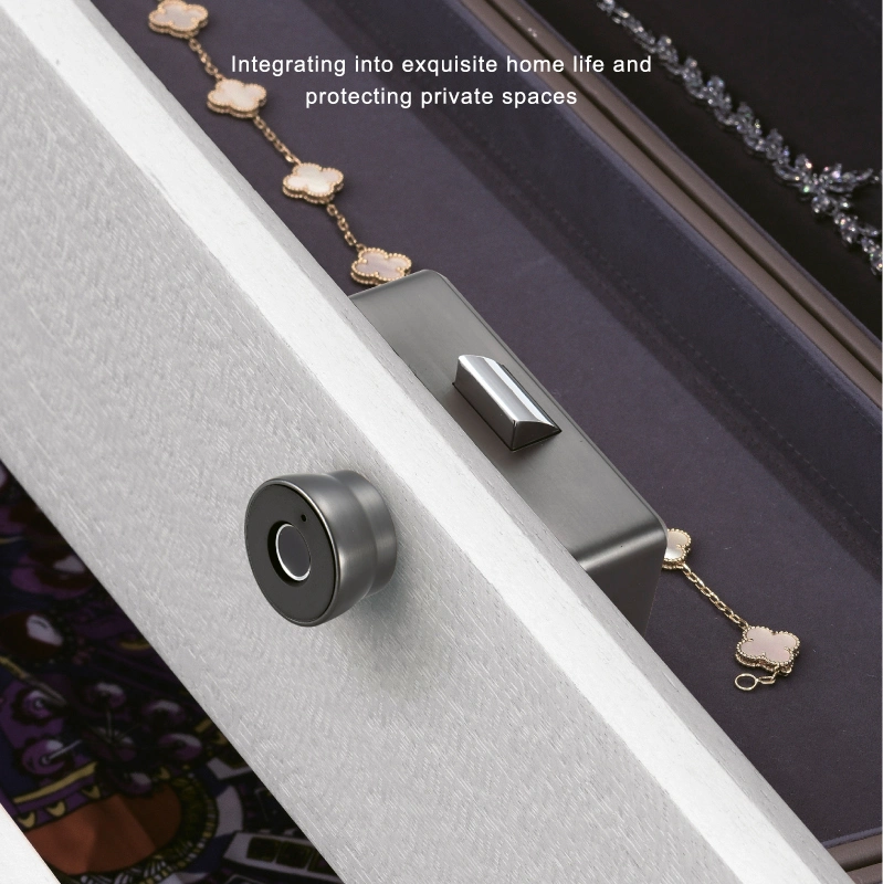 Power Saving Keyless Hidden Mini Drawer Smart Electric Lock Fingerprint Lock for Cabinet