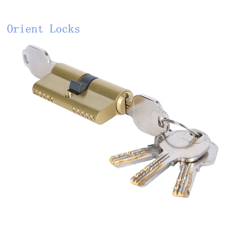 Snake Key Cylinder Lock Double Pins with Emergency Function