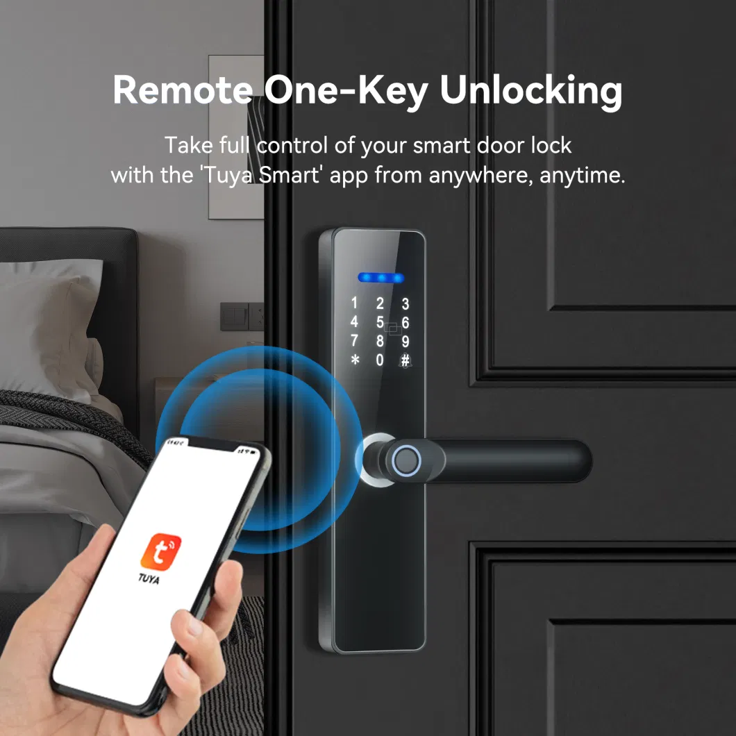 Security Products WiFi APP Battery-Powered Backup Emergency Key Smart Password Lock