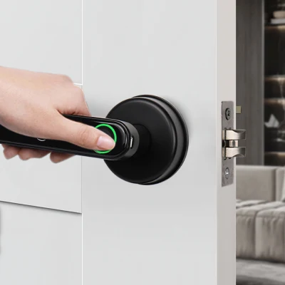 Fábrica Mayoreo de huellas dactilares bloqueo de mango eléctrico Tuya Ttlock Smart Home Cerradura de puerta cerradura de huella Biométrica para puerta de madera