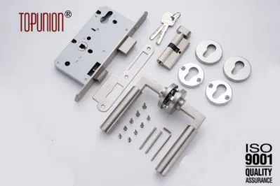 OEM Euro Profile Mortise cilindro de latón bloqueo de palanca de bloqueo de puerta