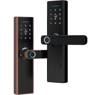 Smart Door Lock funciona con Tuya Ttlock para el cuarto de alquiler