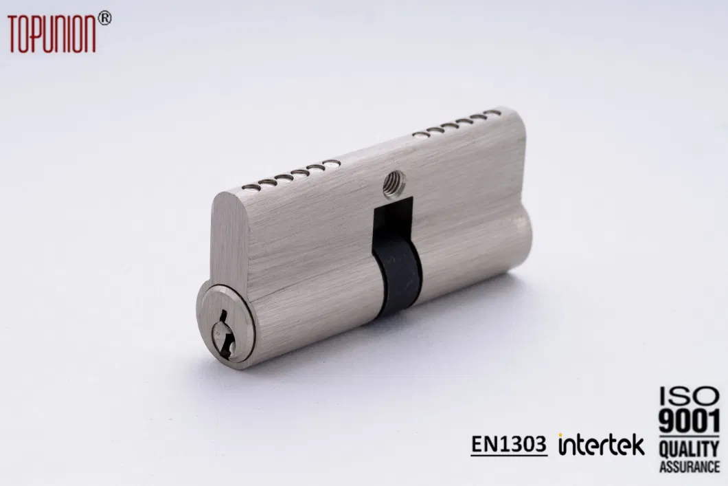 OEM Euro Profile Brass Mortise Cylinder Lever Lock Door Lock