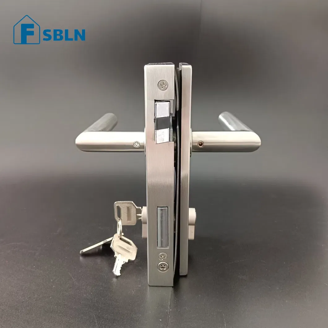 Bln Hot Sale Office Stainless Steel Swing Glass Door Lock Handle with Matted Stain Finish