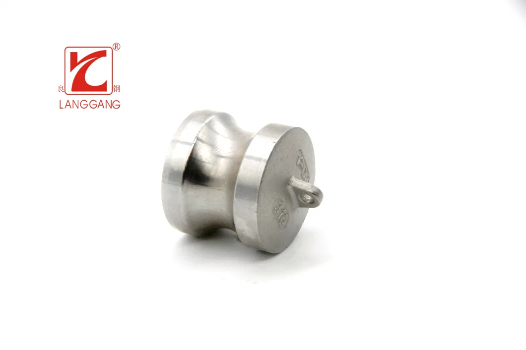 Inox SS304/SS316 Stainless Steel Casted BSPT Type-Dp Thread Dust Plug Camlock