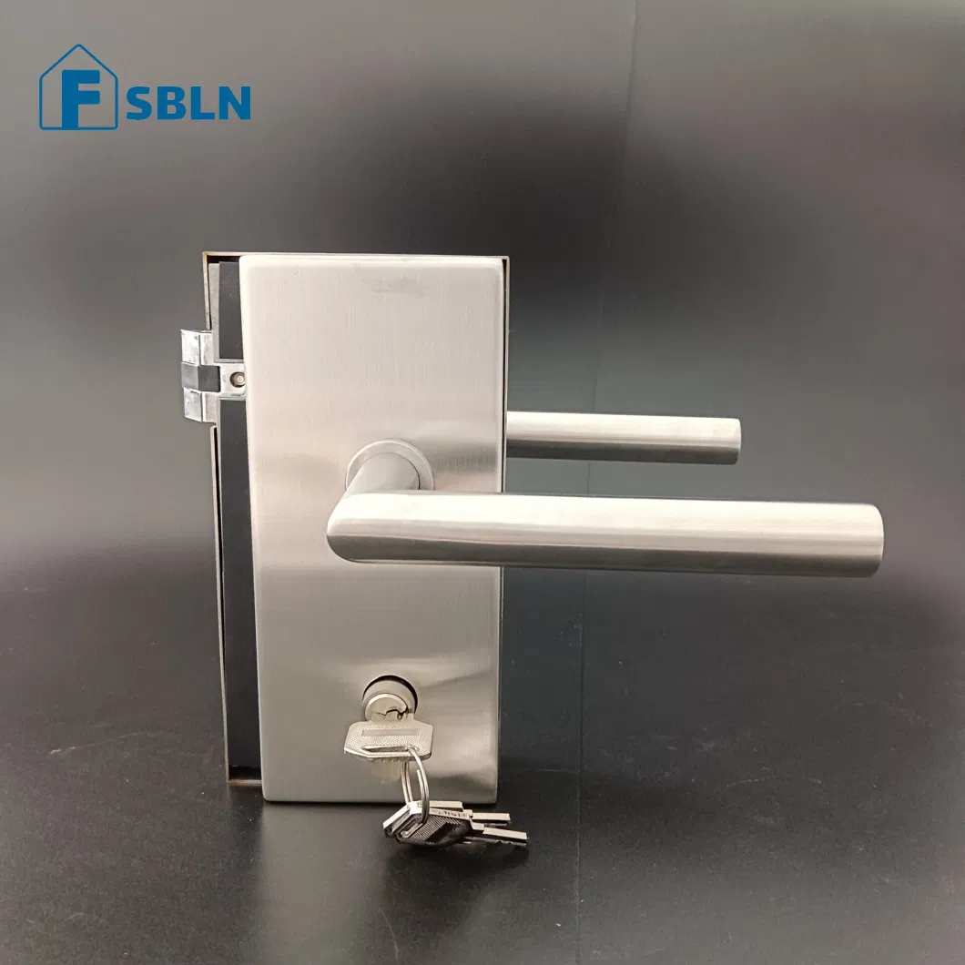 Bln Hot Sale Office Stainless Steel Swing Glass Door Lock Handle with Matted Stain Finish