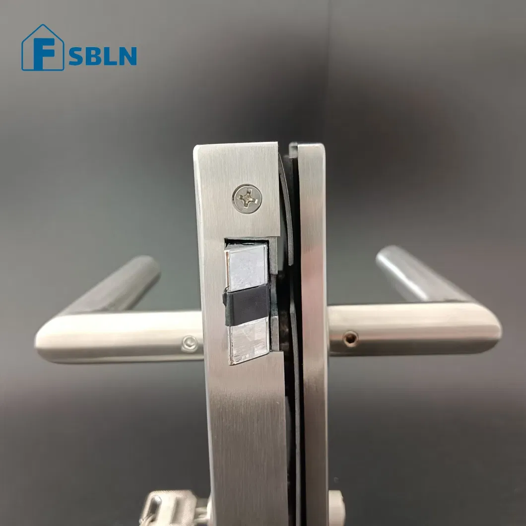 Bln Hot Sale Office Stainless Steel Swing Glass Door Lock Handle with Matted Stain Finish