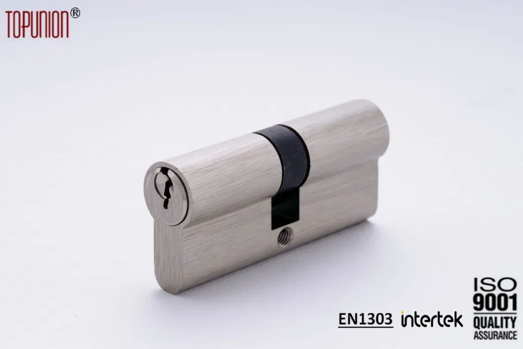 OEM Euro Profile Brass Mortise Cylinder Lever Lock Door Lock