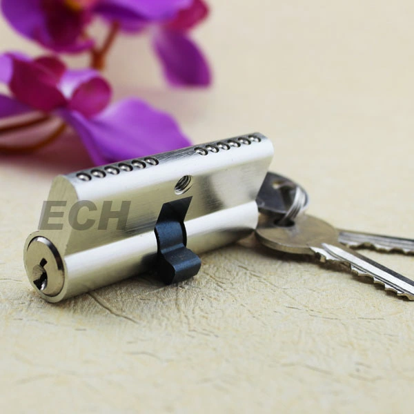 Ec High Quality Zinc Alloy Cylinder