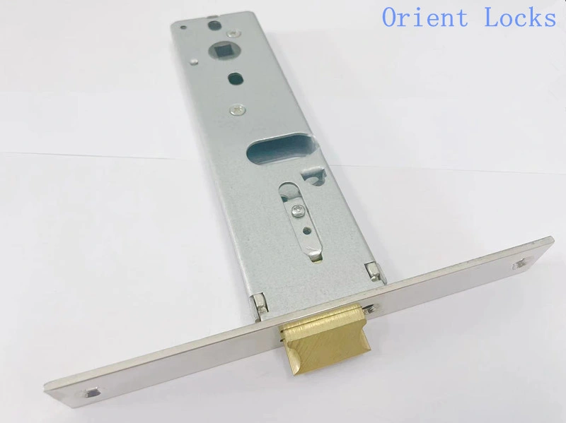 Mortise Door Lock 112 with Oval Shape