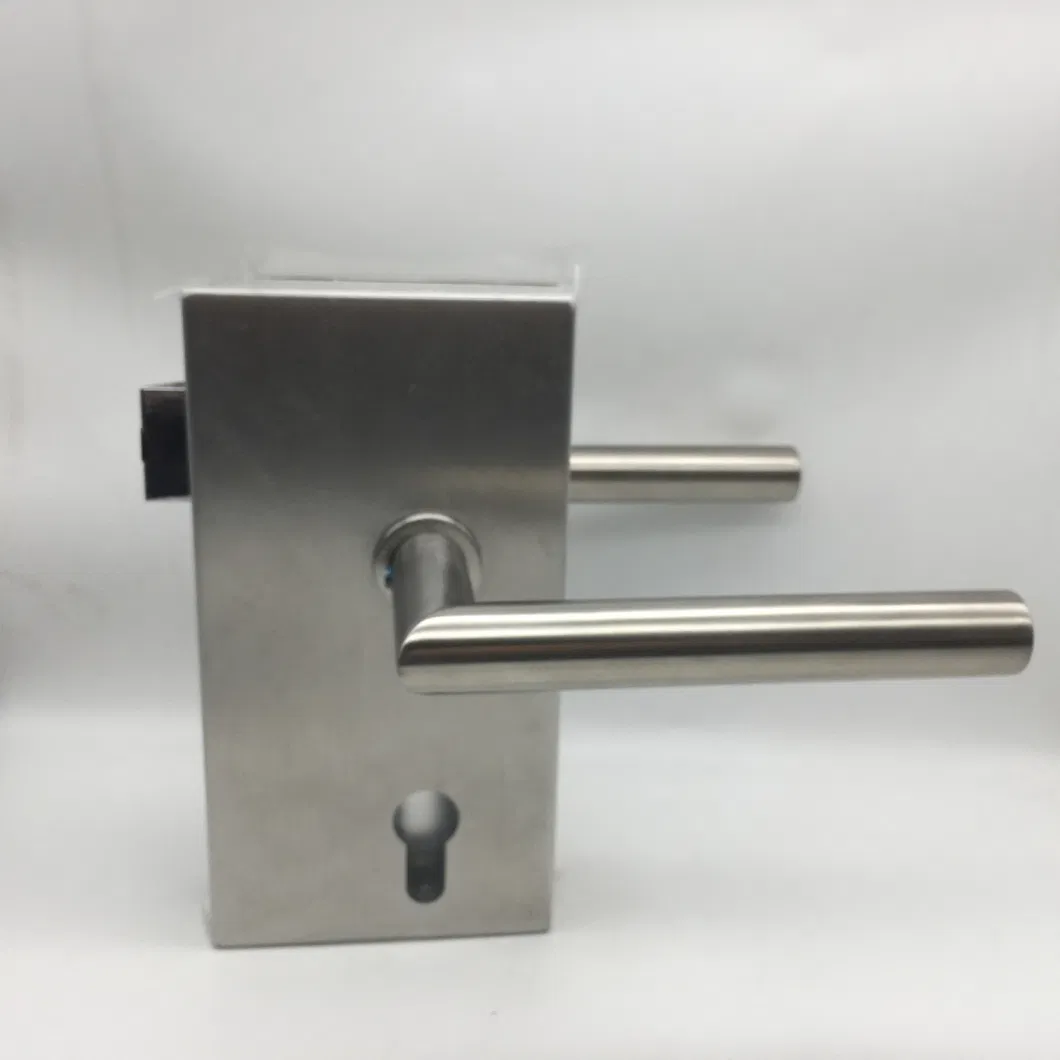 Satin Stainless Steel SS304 Commercial Office Glass Door Lever Handle with Cylinder Lock