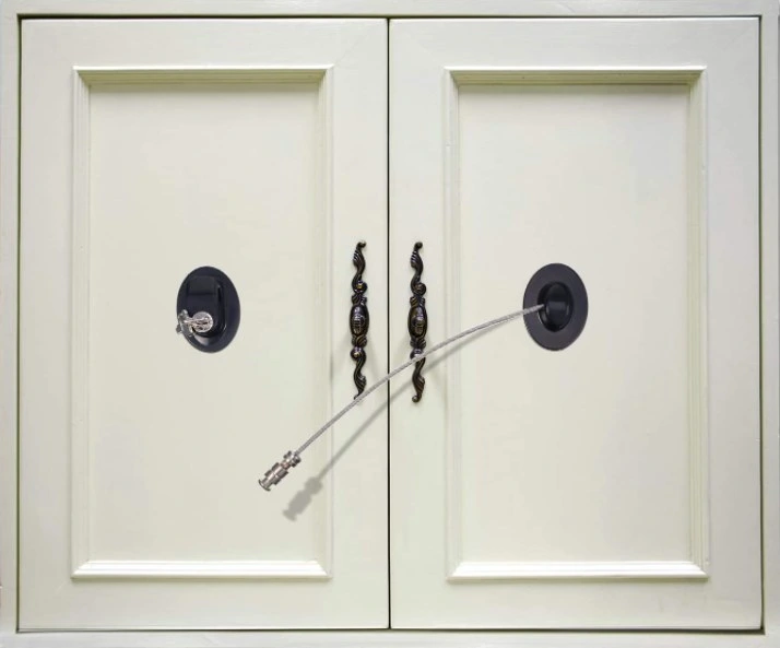 Refrigerator Door Locks with 2 Keys Black