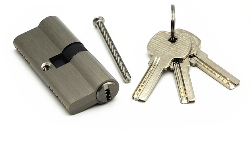 High Security Door Cylinder Lock with Brass Keys