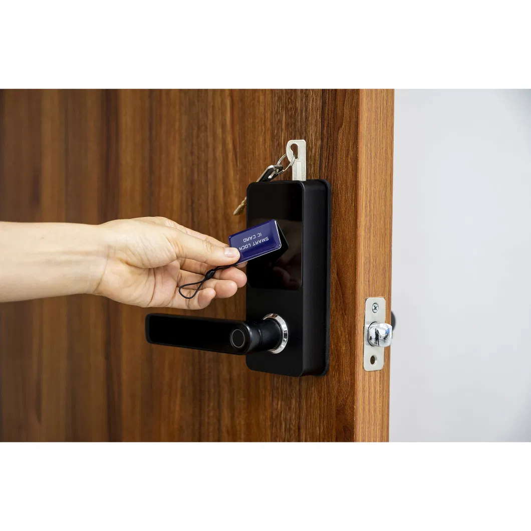 Keyless Keypad Biometric Fingerprint Door Lock for Home