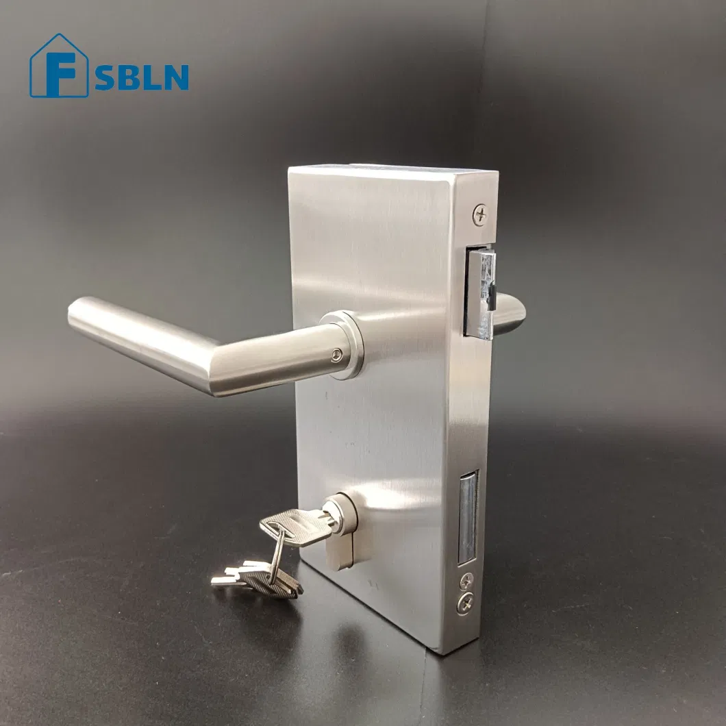 Bln Hot Sale Office Stainless Steel Swing Glass Door Lock Handle with Matted Stain Finish