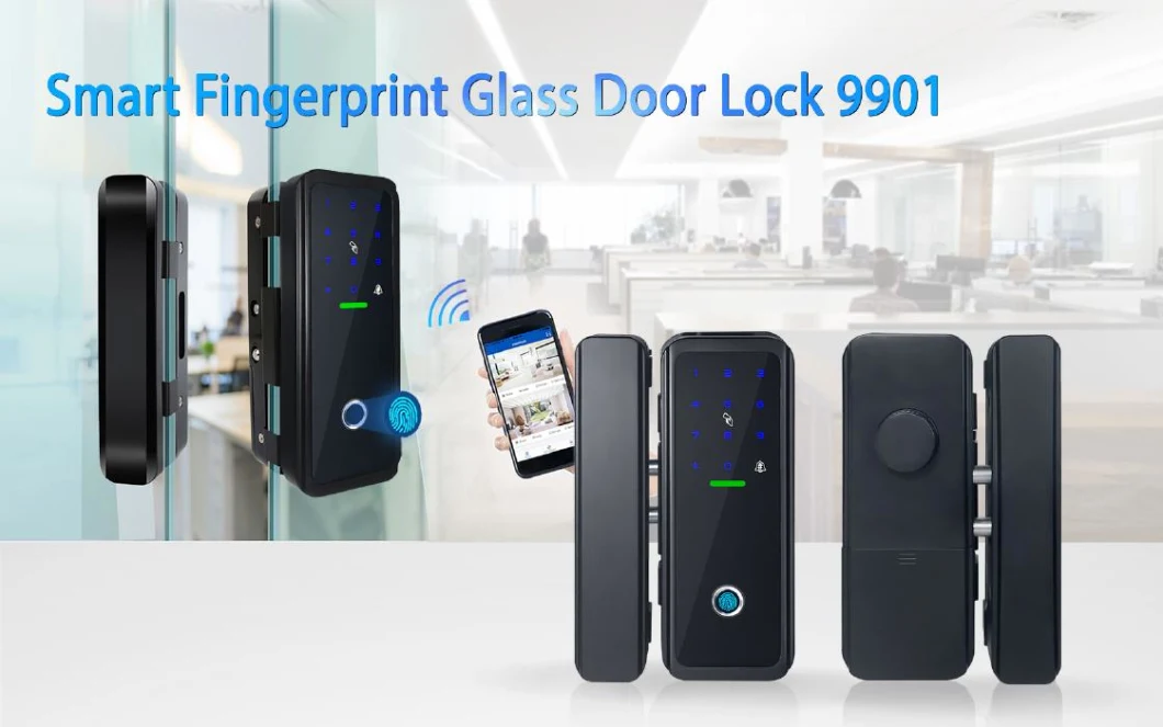 Biometric Fingerprint Door Lock and Passoword Glass Door Lock (9901)