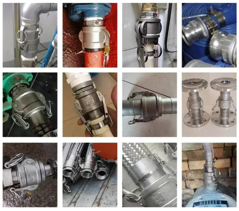 Stainless Steel 304/316 Quick Coupling Camlock a/B/C/D/DC/Dp/E/F