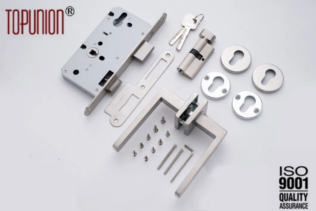 Lock Body Mortise Lock Lever Lock Cylinder Lock Door Lock