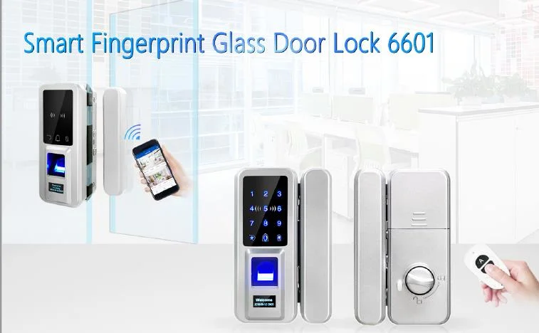 Smart Glass Door Fingerprint Lock with IC Card Reader in Touch LCD Screen (6601)