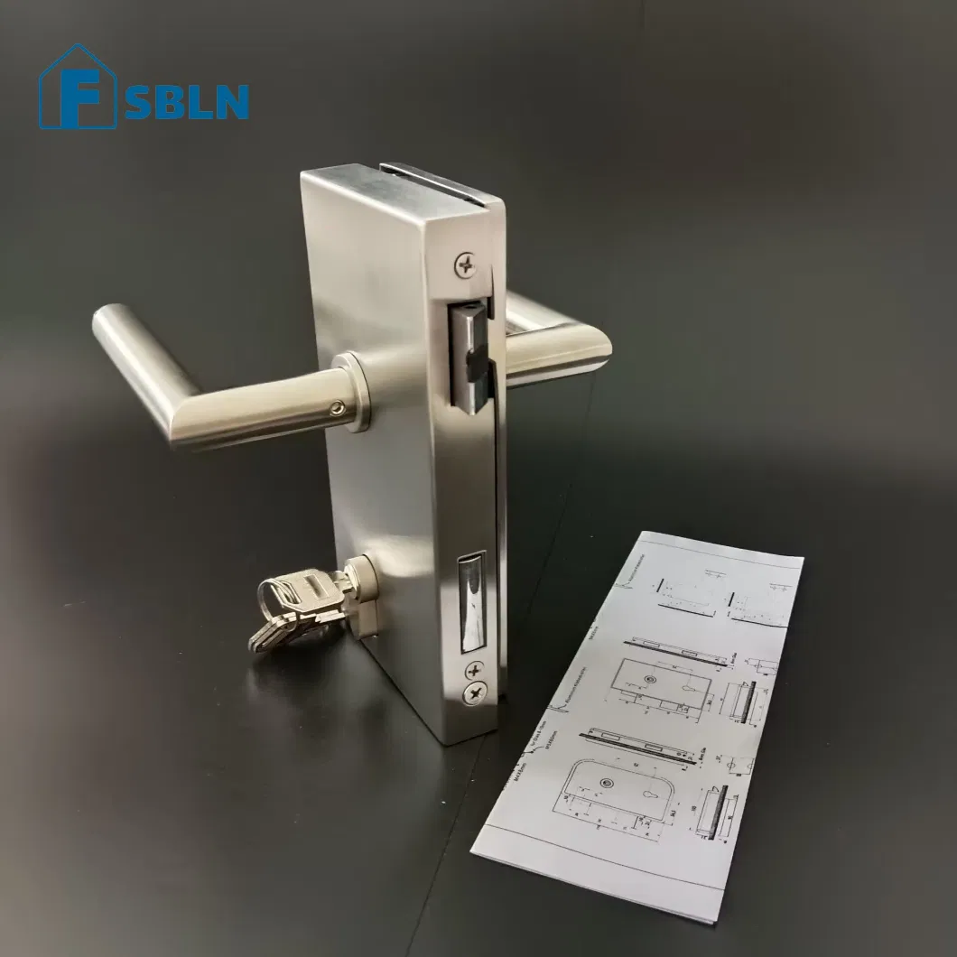 Bln Hot Sale Office Stainless Steel Swing Glass Door Lock Handle with Matted Stain Finish