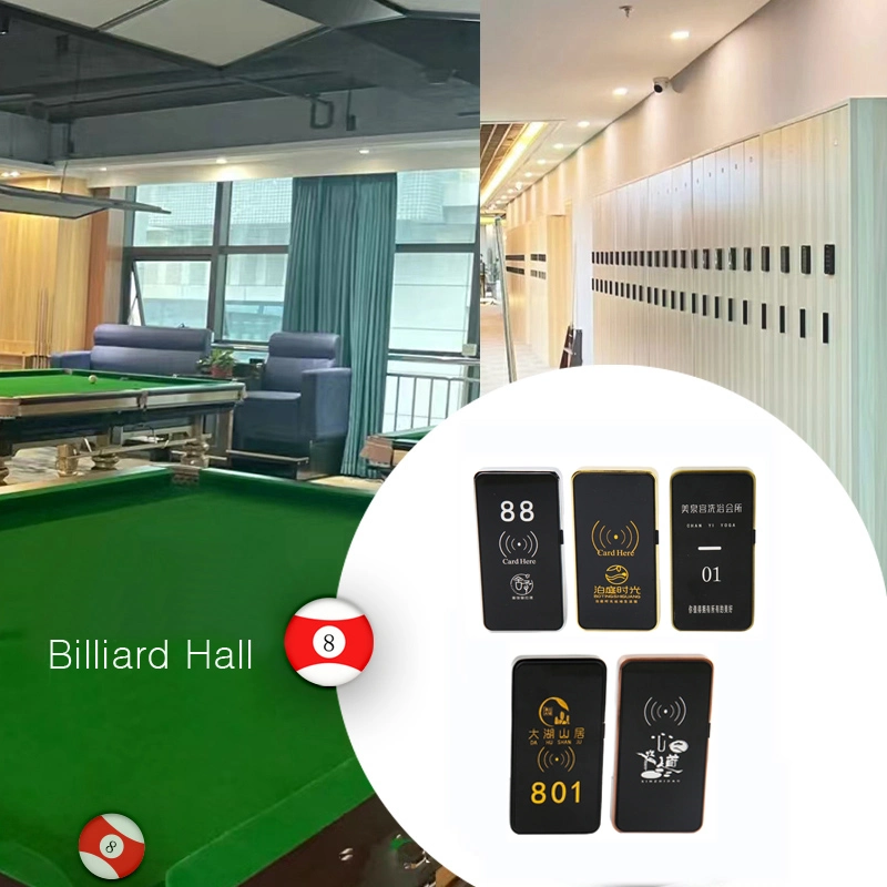 Alloy Zinc Smart Digital RFID SPA Swimming Pool Gym Electronic Cabinet Lockers Lock with Master Key