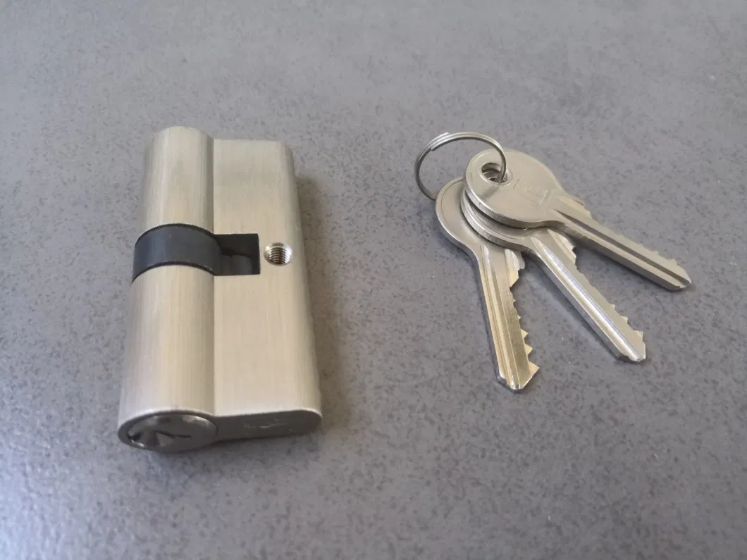 High Security Door Cylinder Lock with Brass Keys