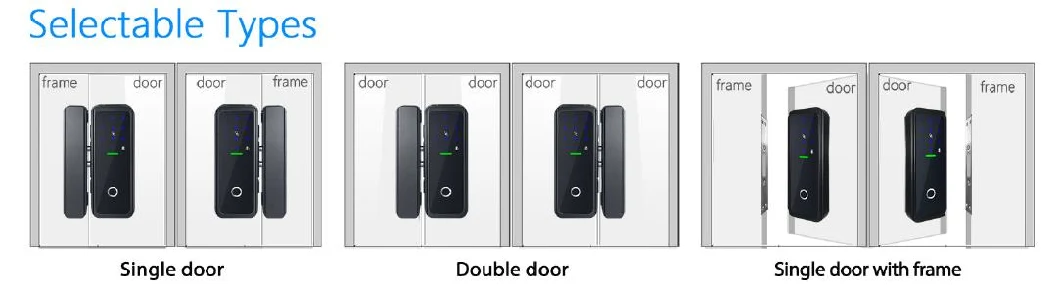 Biometric Fingerprint Door Lock and Passoword Glass Door Lock (9901)