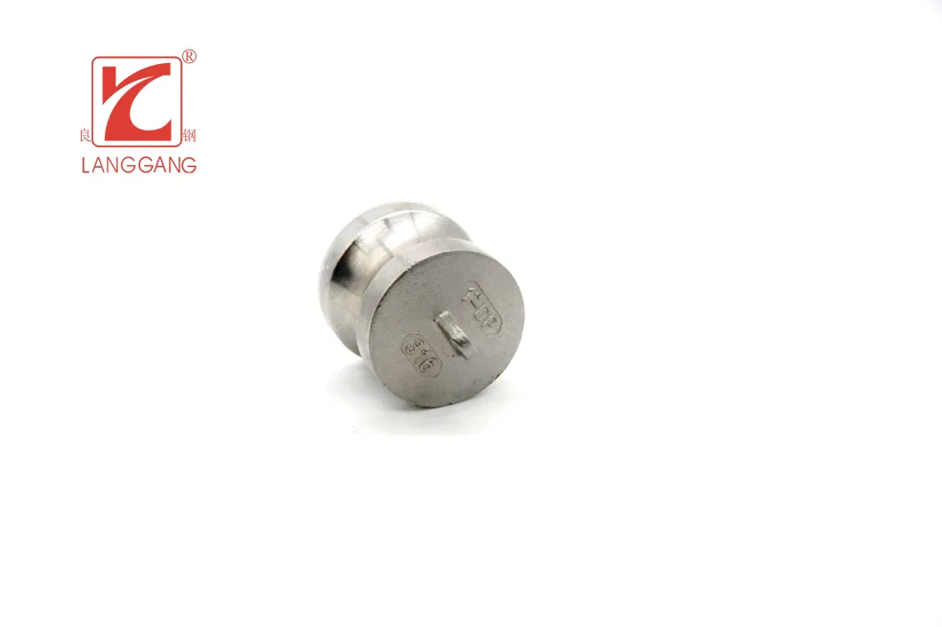 Inox SS304/SS316 Stainless Steel Casted BSPT Type-Dp Thread Dust Plug Camlock