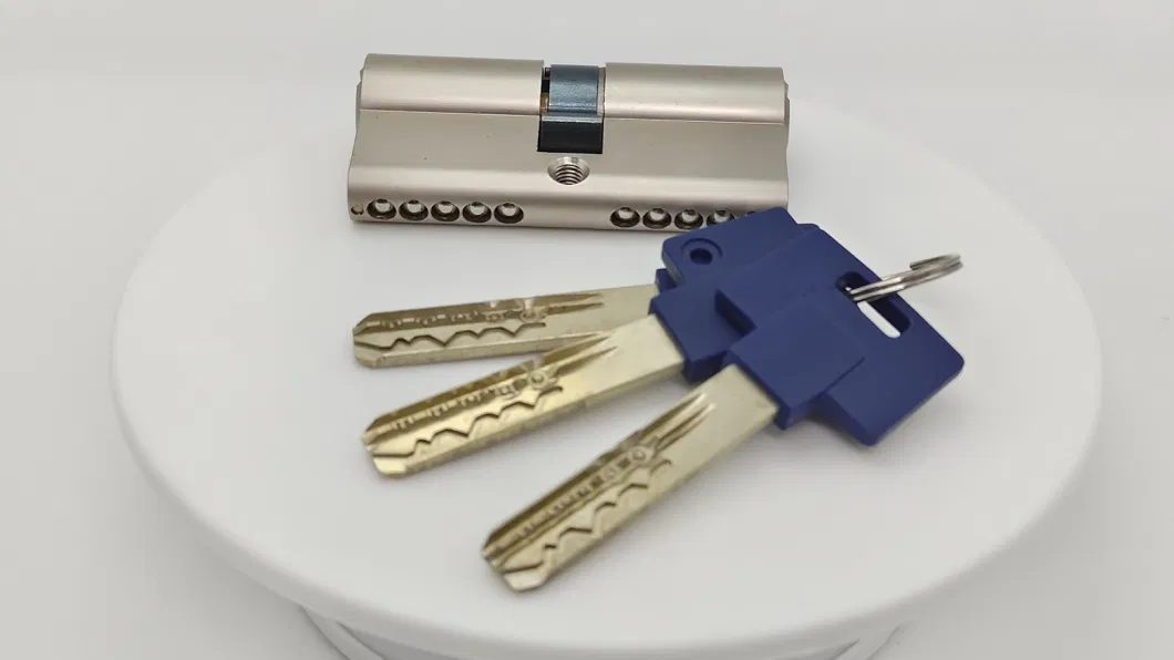 Master Key System Door Lock Cylinder Lock