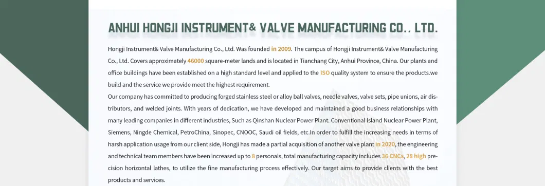 Forged High-Pressure Stainless Steel Socket Weld Angle Needle Valve, 6000 Psi