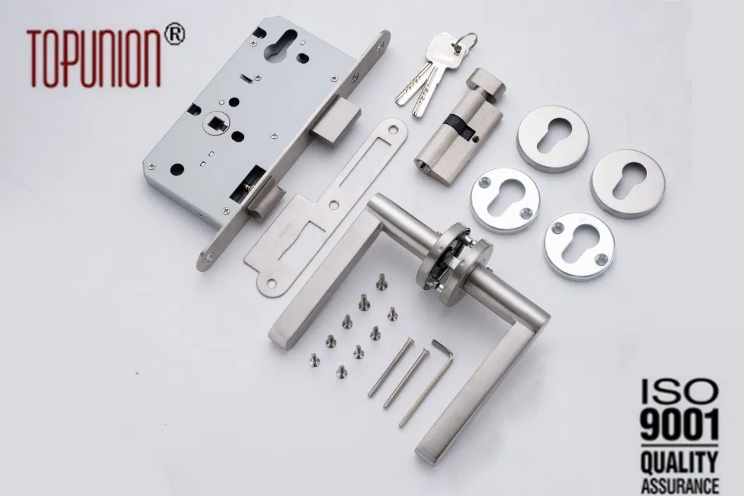 Lock Body Mortise Lock Lever Lock Cylinder Lock Door Lock